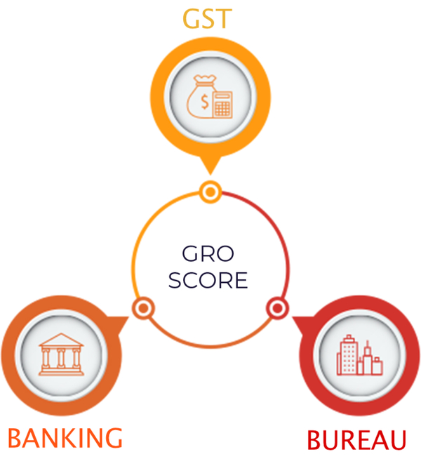 Gro Score Image